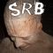 SRB - Retardation